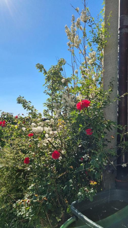 Appartement Zum Entspannen Wartenberg  ภายนอก รูปภาพ